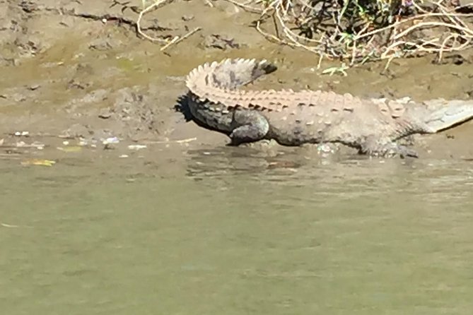 Tamarindo Estuary Boat Ride Tour 2 Hours - Tour Inclusions