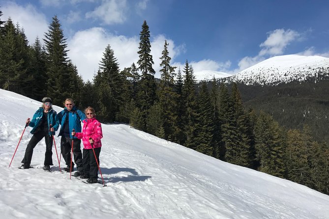 The Best of Bansko: Magical Snowshoeing Adventure & SPA - Additional Information