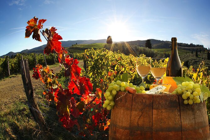 The Grand Wine Tour With Sommelier – 2 Wineries With Chianti & Supertuscan - Included Amenities