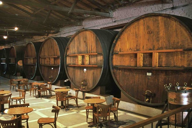 The Wine Route From San Juan - Tour Itinerary