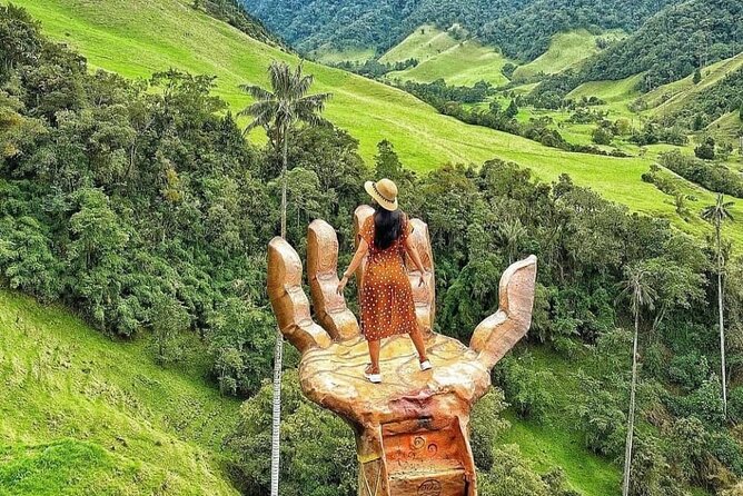 Top of the Condor Tour Cocora Valley - Meeting and Pickup Details