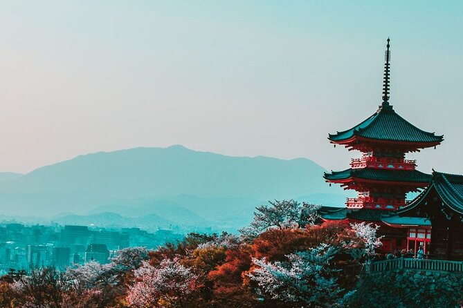 Treasures of Kyoto : Gion & Historical Private Tour - Gion District Exploration