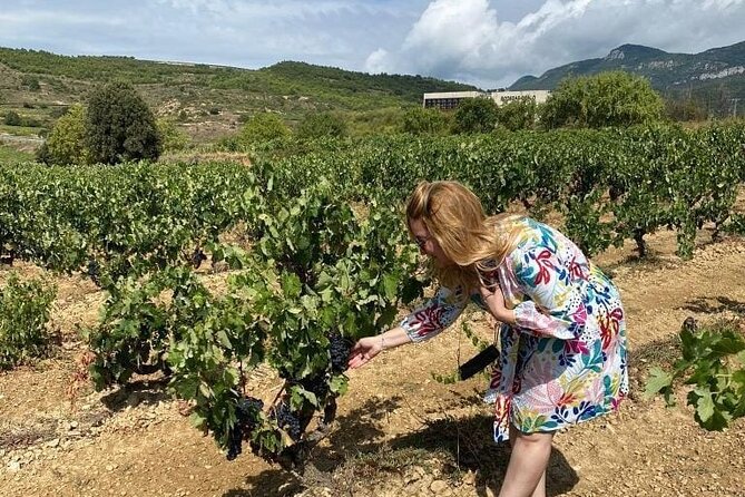 Two Winery Visits With Tastings and a Walking Tour of La Guardia - Tour Inclusions