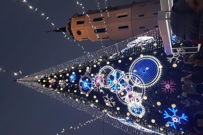 Vilnius City Tour- Walking& Driving - Tour Highlights