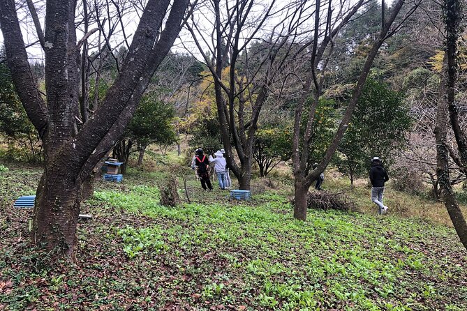 Visiting Beekeeper and Beeswax Craft Making in Bungoono City - Additional Information
