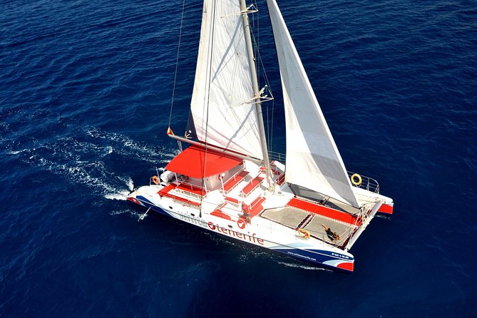 Whale Watching and Listening Eco Catamaran Tour With Food Tasting - Meeting and Pickup Details