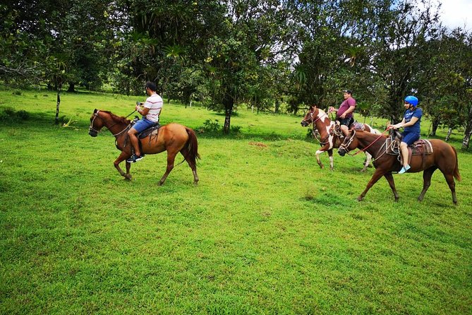 Wild Life And Horseback Riding Through The Rain Forest - Meeting and Pickup Details