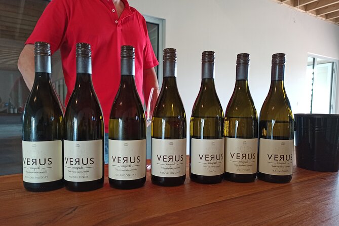 Wine and Culinary Adventure in Jeruzalem - Full Day Tour From Ljubljana or Ptuj - Logistics