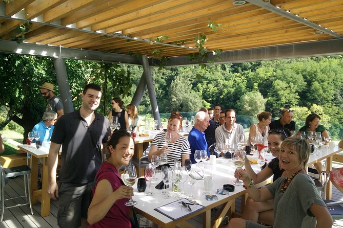 Wine & More Tour , Private Guided Wine Tour From ROVINJ & PULA to Wine Cellars - Itinerary
