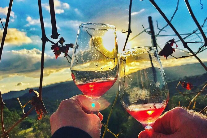 Wine Tasting and Winery Tour in Lemona Village, Paphos - Location and Setting