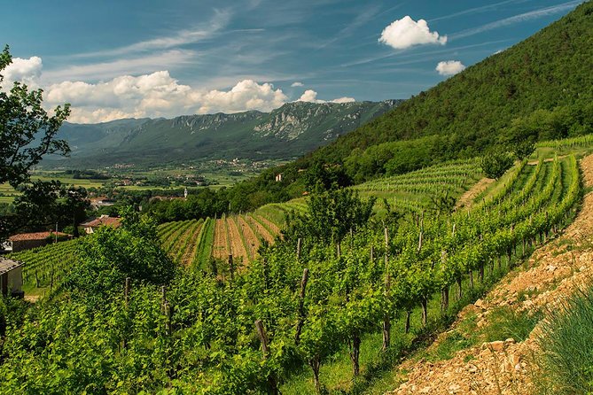 Wine Tasting With Cold Cuts - Importance of Food Pairing