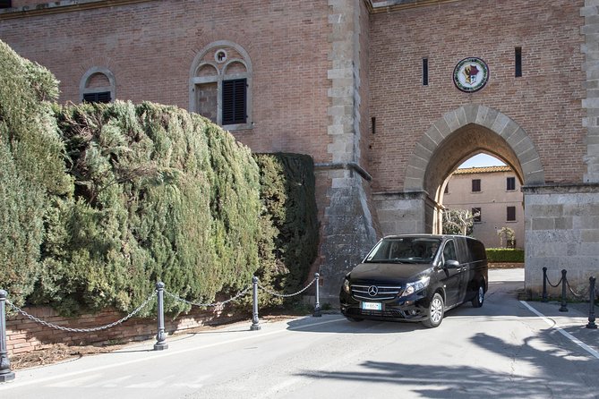 Wine Tour Bolgheri Half Day Shore Excursion From Piombino Port - Tour Overview
