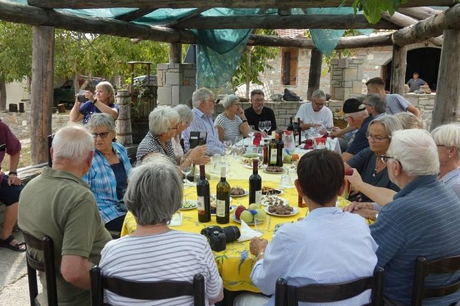 Winetasting Tour in Alpeta Winery - Roshnik Village by 1001 Albanian Adventures - What To Expect