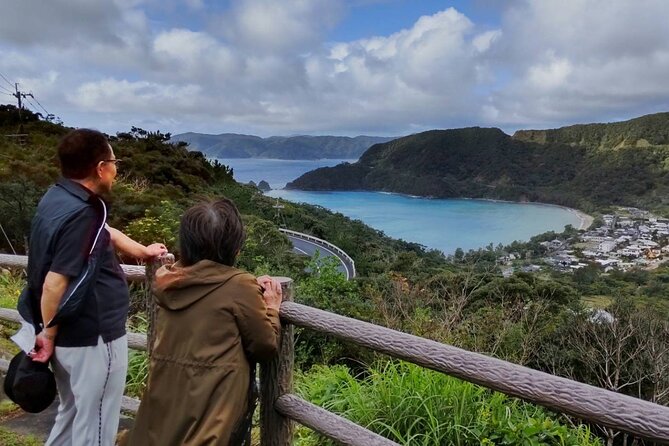 3-Day and 2-Night Amami Folksong Private Tour in Japan
