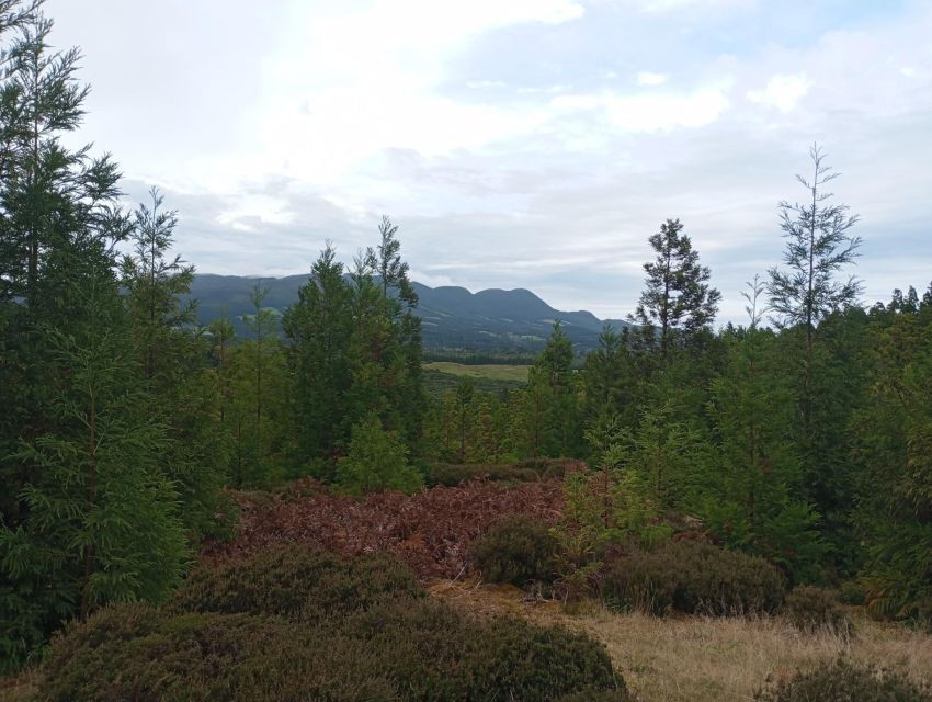 3 Days Excursion in TrilhAzores