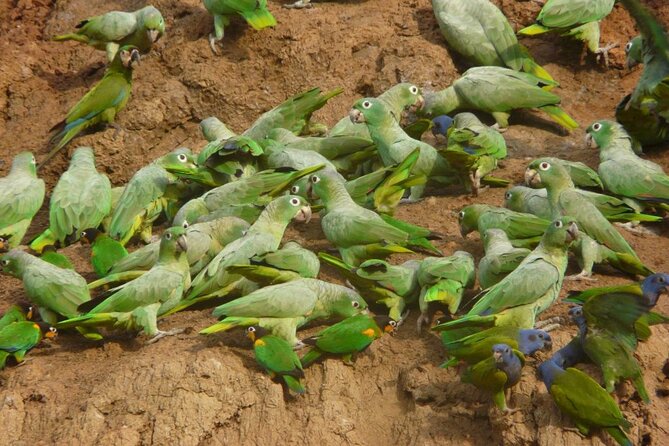 3 Days Tour in Manu Amazon - Good To Know