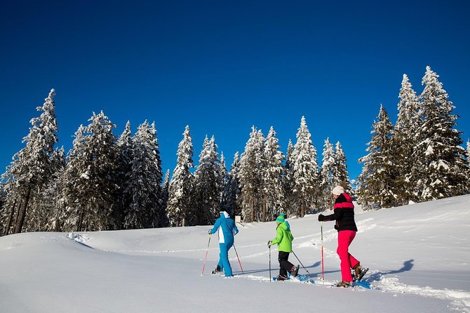 3-Hour Guided Snowshoeing Adventure in the Slovenian Alps - Good To Know
