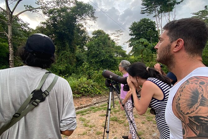 3-Hour Private Birdwatching Experience in Uvita / Ojochal