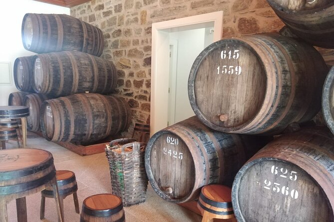 3-Hour Tour to Discover Pinhão – Moment of Discovery