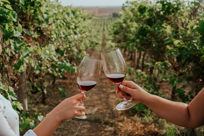 3-Hour Vineyard Wine Tour With Tasting