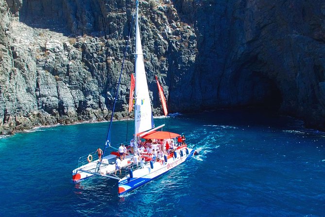 3-hour Whale and Dolphin Watching and Listening Tour