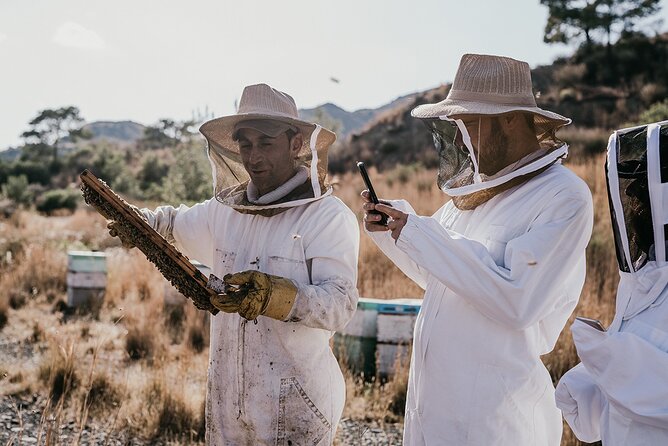 30-Minute Guided Honey Tasting Activity in Melini - Good To Know