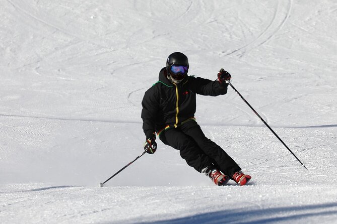 1-Day Private Ski Lesson From Tokyo With Mt. Fuji Sightseeing - Itinerary Overview