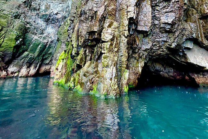 1 Hour Iceland Nature and Wildlife RIB Small Group Guided Safari - Price and Booking