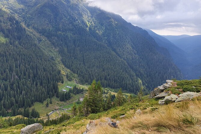 13-Day Private Guided Tour of Romania From Bucharest - Dining Experiences