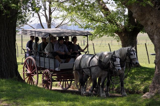 2-Days and 1 Night in Areco - Pickup and Departure Details