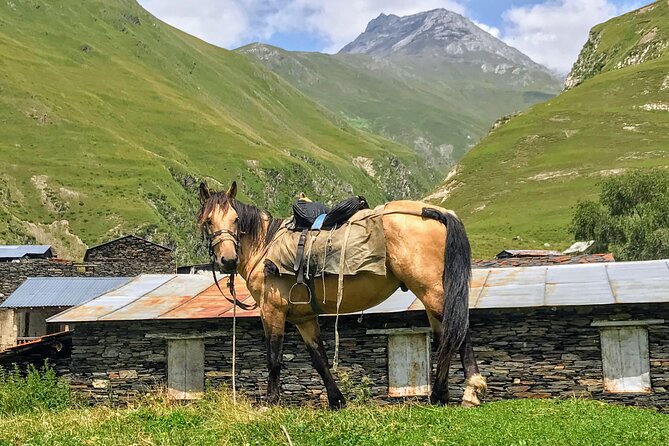3 Day Tusheti Tour Explore Unspoiled Wilderness - Frequently Asked Questions