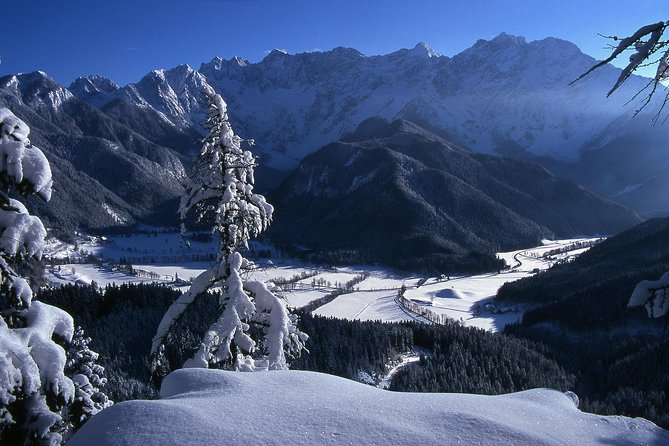 3-Hour Guided Snowshoeing Adventure in the Slovenian Alps - Reviews and Booking Details