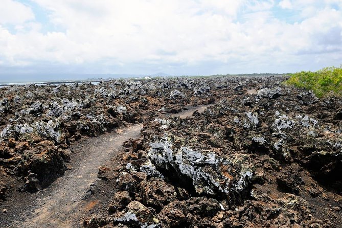 5 Days Galapagos Tour: Santa Cruz and Isabela Islands - Expectations and Important Information