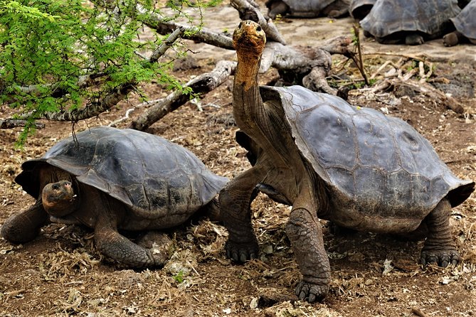 7-Day Galapagos Magic Expedition - Accommodation Information
