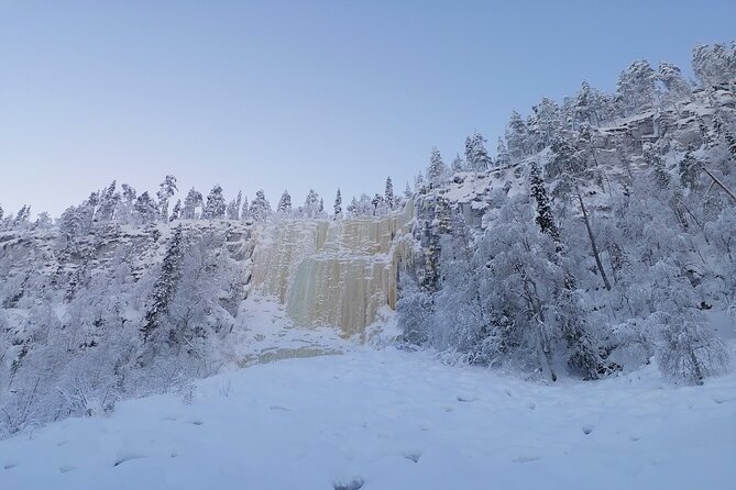 7 Days Winter Lapland Nature Experience - Northern Lights Viewing