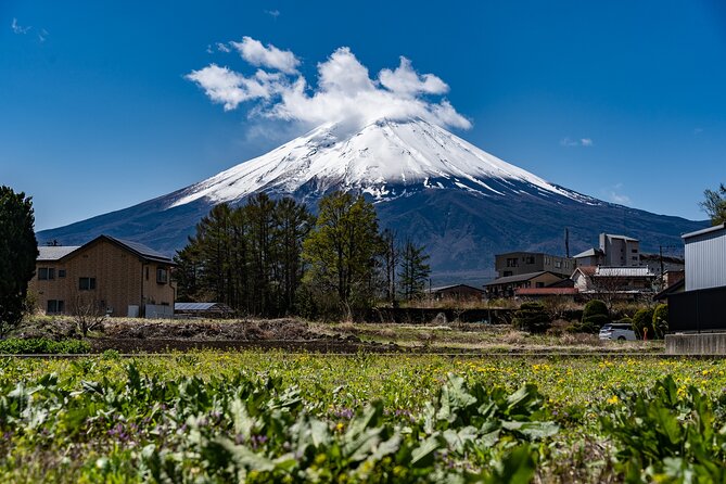 A Class on Making Hoto, Yamanashis Traditional Dish - Cancellation Policy Details