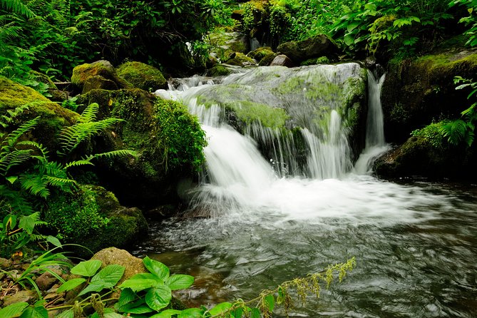 Adjarian Mountains Waterfalls Wine Tour Best Views From Batumi Kobuleti - Frequently Asked Questions