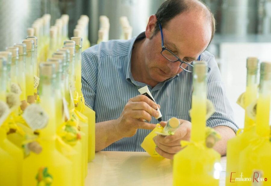 Amalfi Lemon Experience