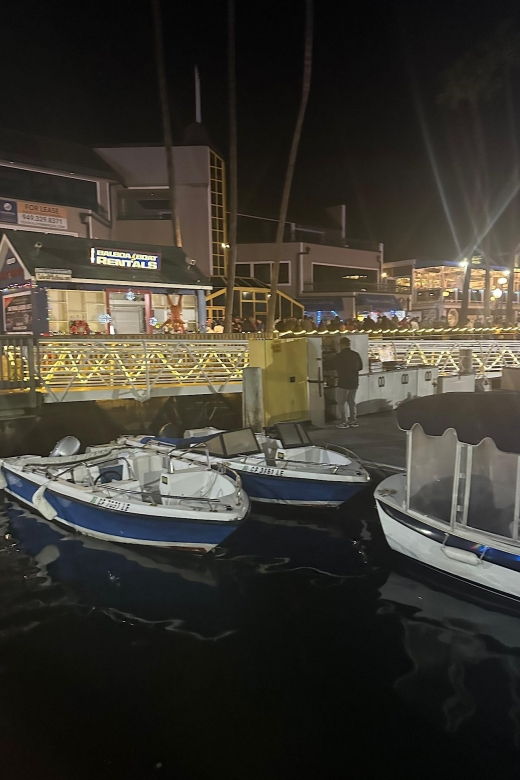 2 Best City Tours In Anaheim