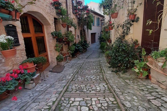 Assisi and Spello Full Day Private Walking Tour - Pricing and Reviews