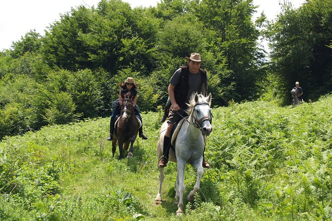 Balkan Horse Riding - Glozhene Monastery Ride - Price and Booking