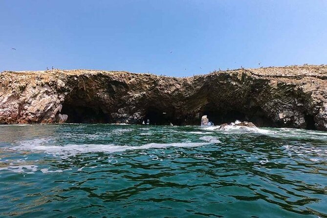Ballestas Islands Tour for Passengers of the Puerto San Martin Cruise - Additional Information for Travelers