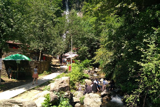 Batumi 4 Days Tour - Booking Information