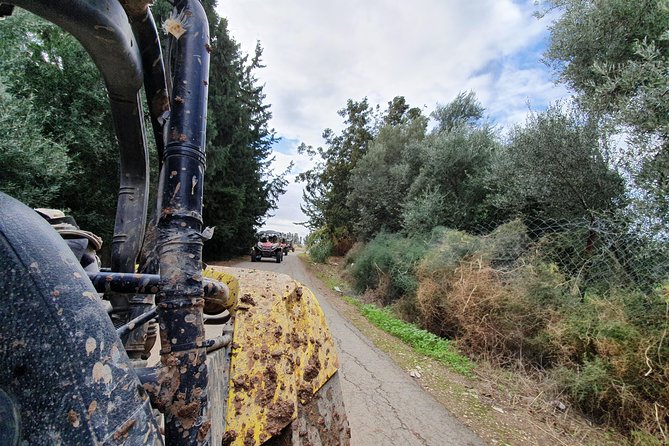 Beach & off Road Buggy Safari in Paphos - Customer Feedback