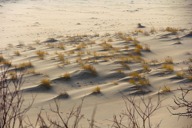 Best of Klaipeda & Curonian Spit Join-in Shore Excursion - Inclusions and Amenities