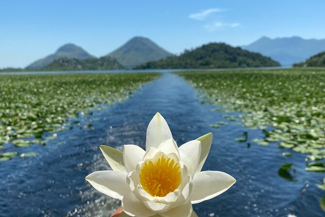 Boat Cruise Viktor Skadar LakeVirpazar Kom MonasteryVirpazar - Frequently Asked Questions
