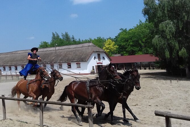 Budapest Puszta Day Trip to Kecskemet Icluding Horse Show & Lunch - Activity Itinerary