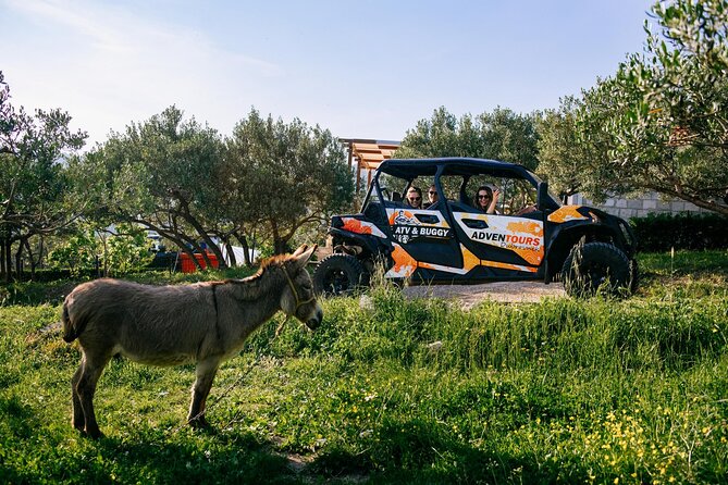 Buggy Dubrovnik Safari Tour (Private) - Cancellation Policy