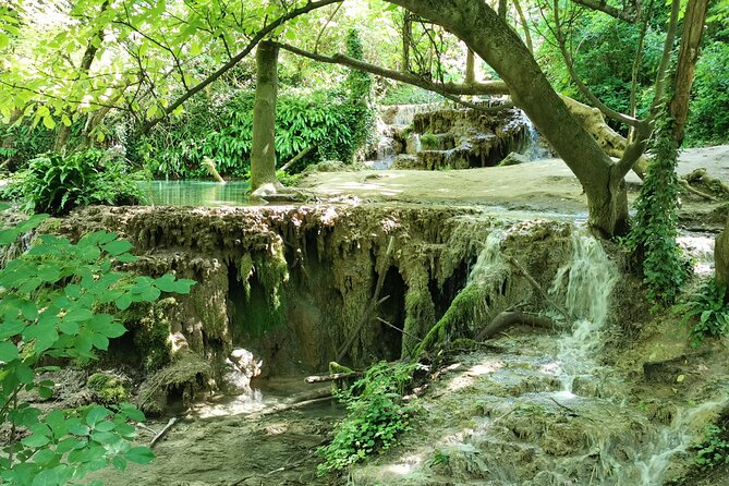 Bulgaria - Caves, Waterfalls and Hiking in the National Park - Flora and Fauna of Bulgaria