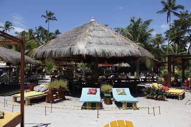Carneiros Beach Day Tour - Tour Features